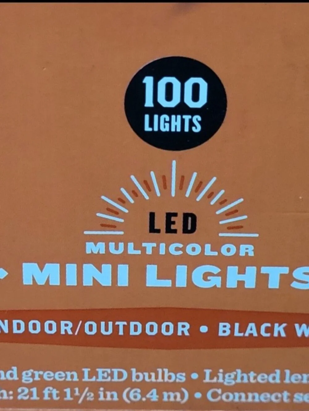 Hyde & Eek! 100ct LED Halloween Indoor Outdoor Miniature Glass String Lights New